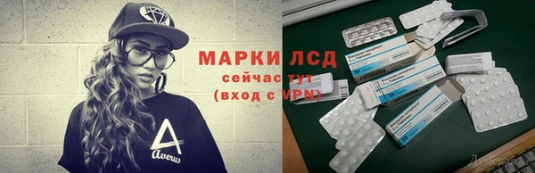 спайс Алзамай