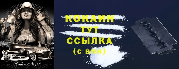 стаф Абинск