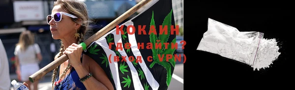 стаф Абинск