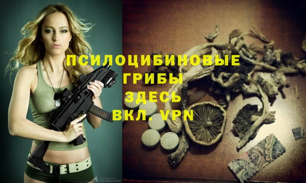 сатива Абдулино