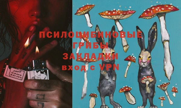сатива Абдулино