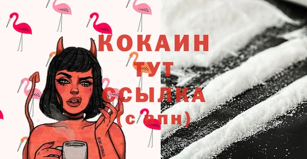 стаф Абинск