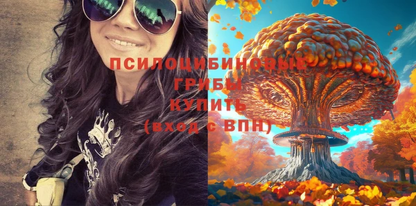 стаф Абинск